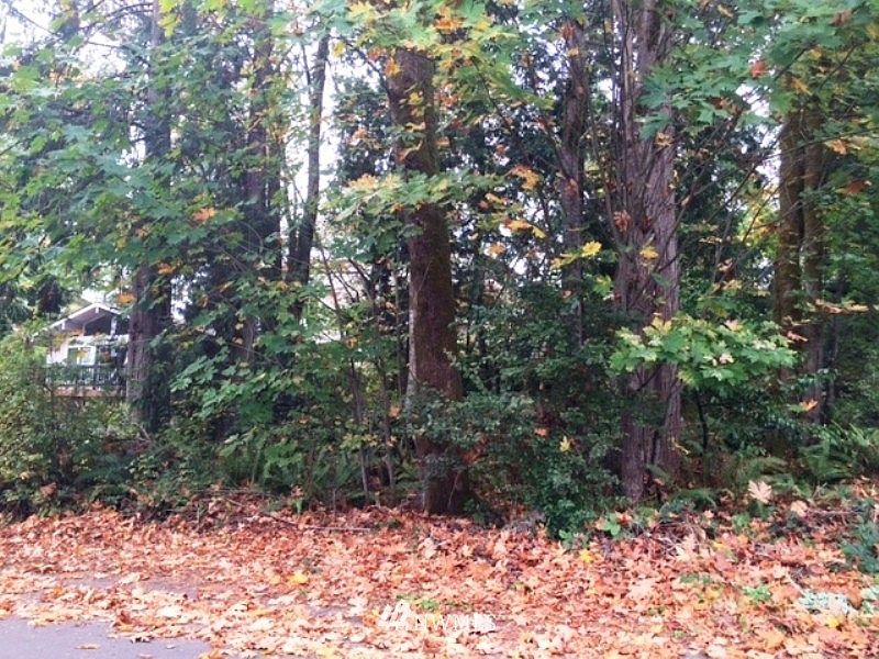 1st image of 0 XXX Angeline Avenue NE