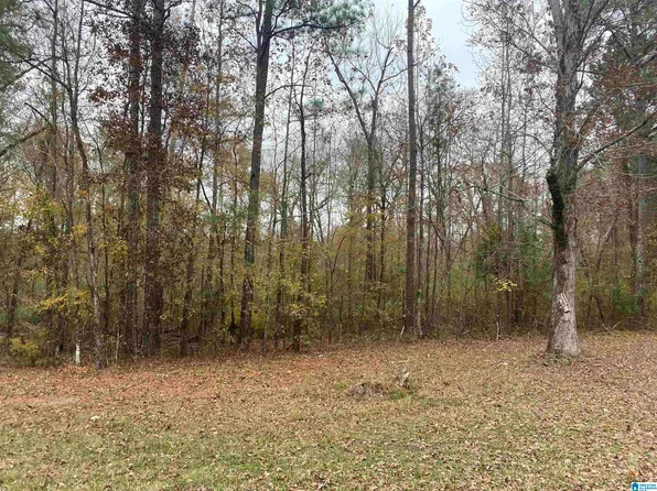 0 Highway 55, Wilsonville, AL 35186