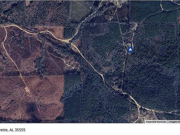 4th image of 237 Marion Stough Rd