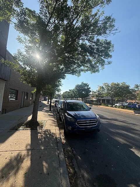 2 bed, $2,850 — Photo 2