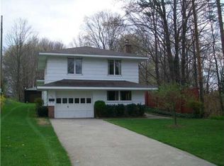 203 Maple Ave, Springville, NY 14141