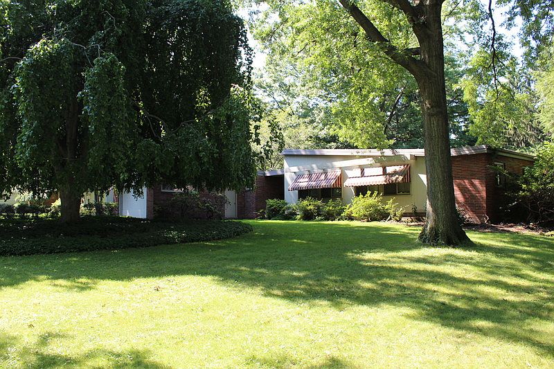 We fell in love with the weeping beach tree the first time we saw the house.