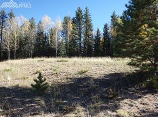 126 Bear Claw Trl, Divide, CO 80814