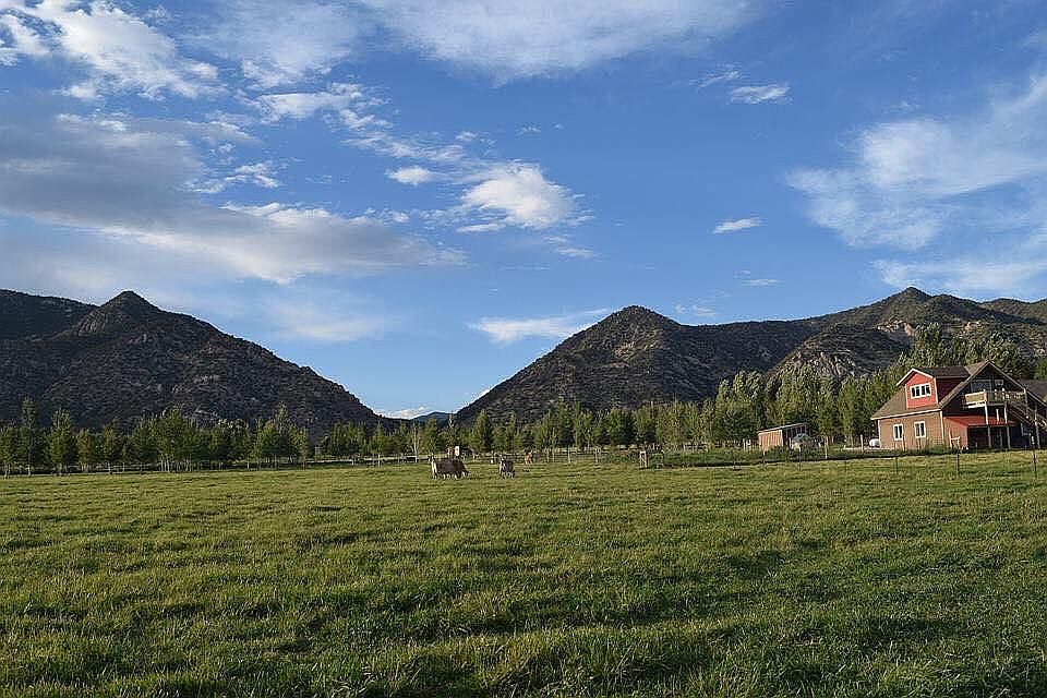 Field looking at Apartment