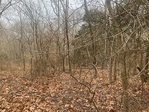5th image of Lauder Cir