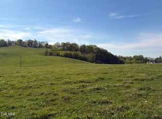 LOT 1 Washington College Rd, Limestone, TN 37681