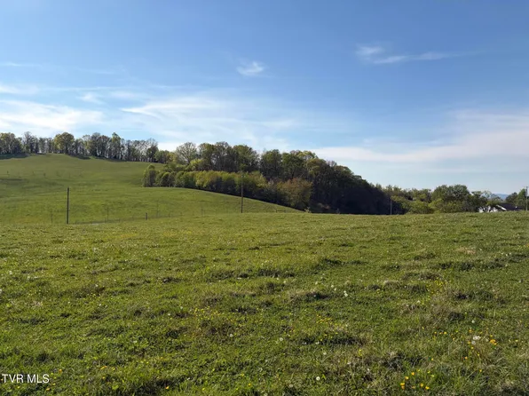 LOT 1 Washington College Rd, Limestone, TN 37681