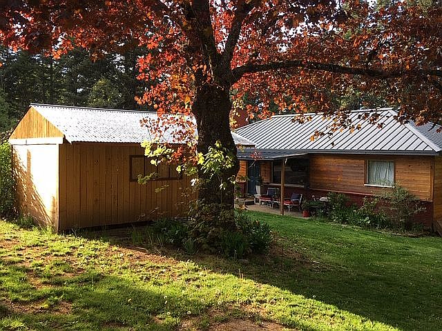 Front yard/covered bbq area
