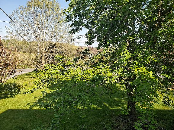 view from front porch