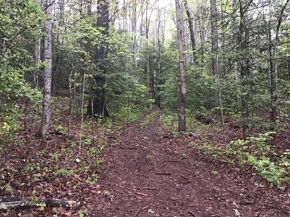 0 Low Brace Rd, Franklin, NC 28734