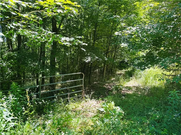 287 Dirt Rd Lot 31, Delancey, NY 13752