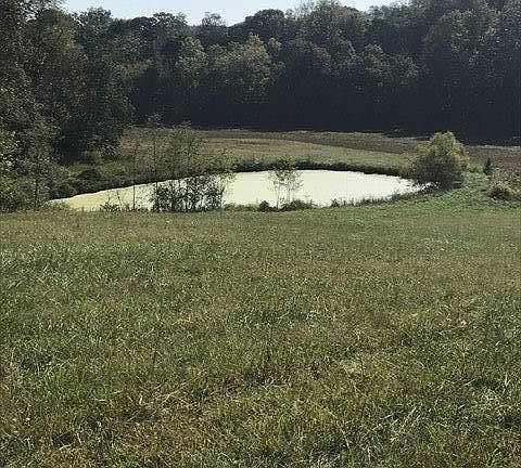 3rd image of 160 Stacy Dr