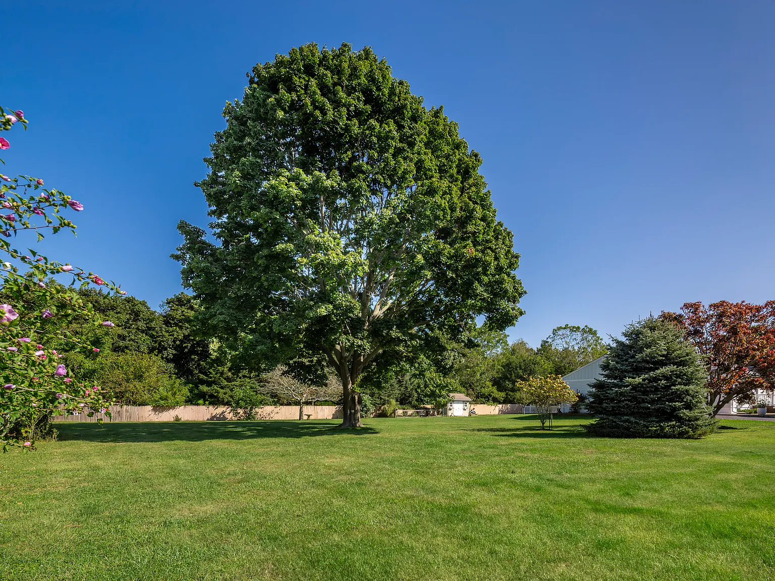 Seasonal Rental in Scenic Southold, NY - 3 Bed, 2 Bath Retreat — Photo 4