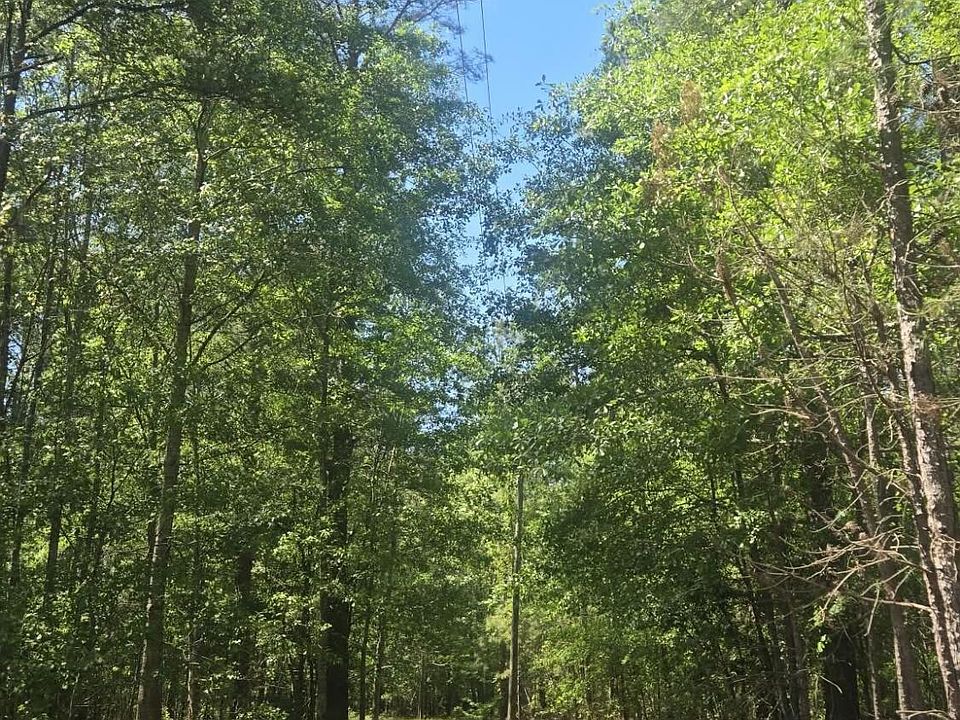 2nd image of 415 Pearson Rd