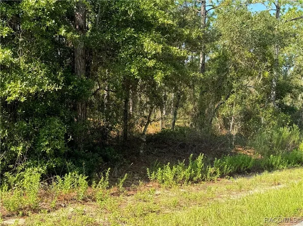 (undisclosed Address), Dunnellon, FL 34431