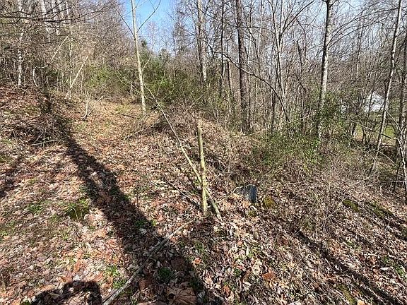 3rd image of 326 Earl Crisp Rd