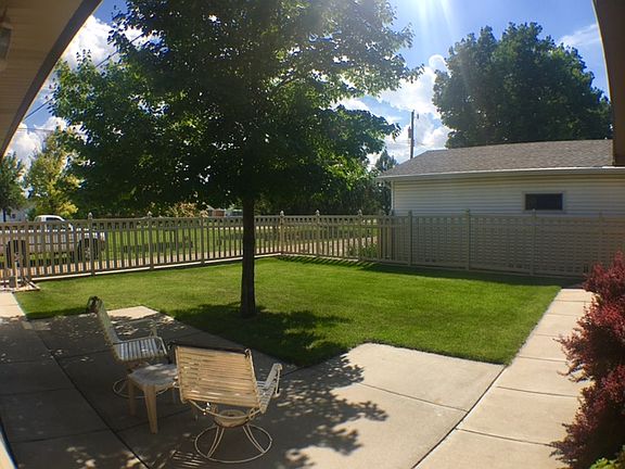 back yard