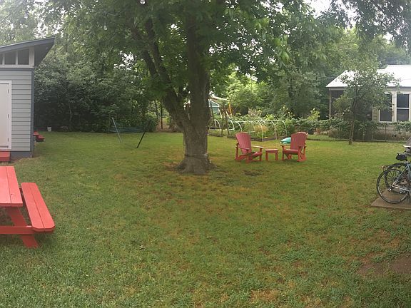 shaded back yard