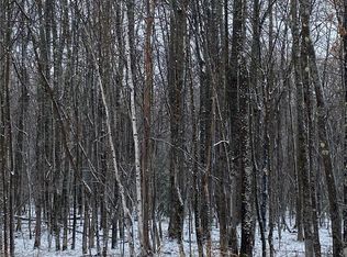 Near Lenawee Road, Herbster, WI 54844