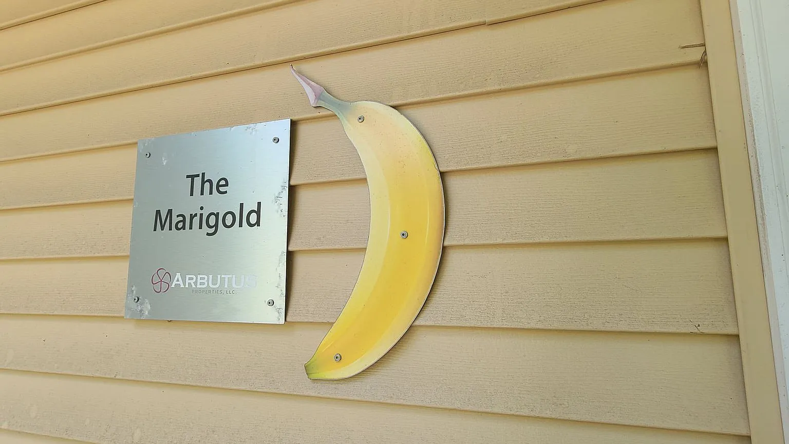 The Marigold - 3 Bed/1 Bath House — Photo 1