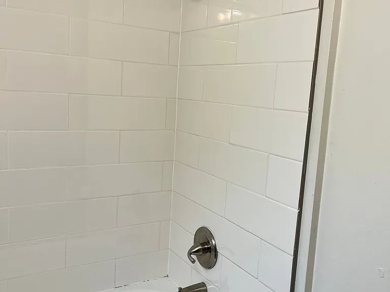 Tub Shower