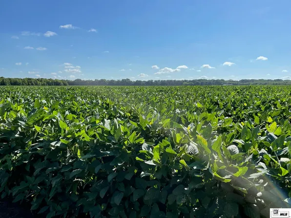 0 Highway 1196, Jonesville, LA 71343