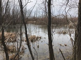 S Forest Hill Rd, St Johns, MI 48879