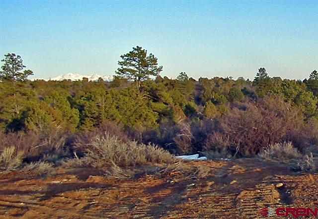 2nd image of 19480 Road 31