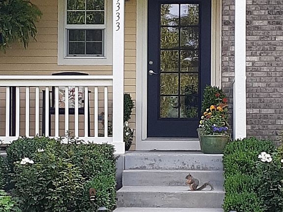  Home - Entry