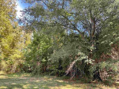 0 Gold Lake Cir, Conway, AR, 72032