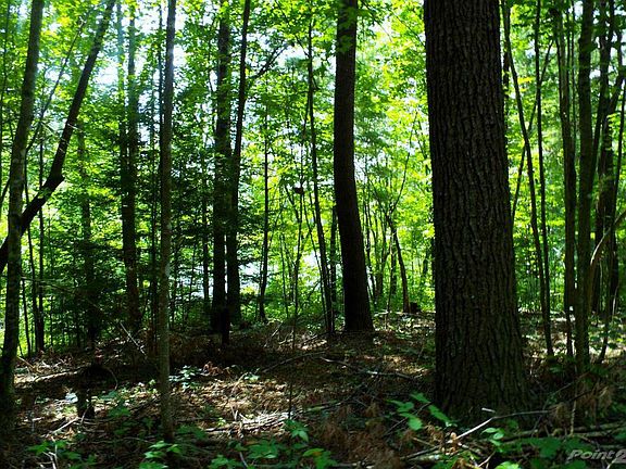 20150721153132709008000000-o