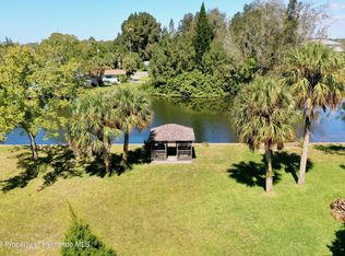 18942 Kolb Pl, Aripeka, FL 34679