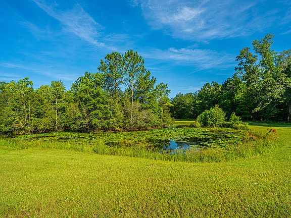 141st image of this home