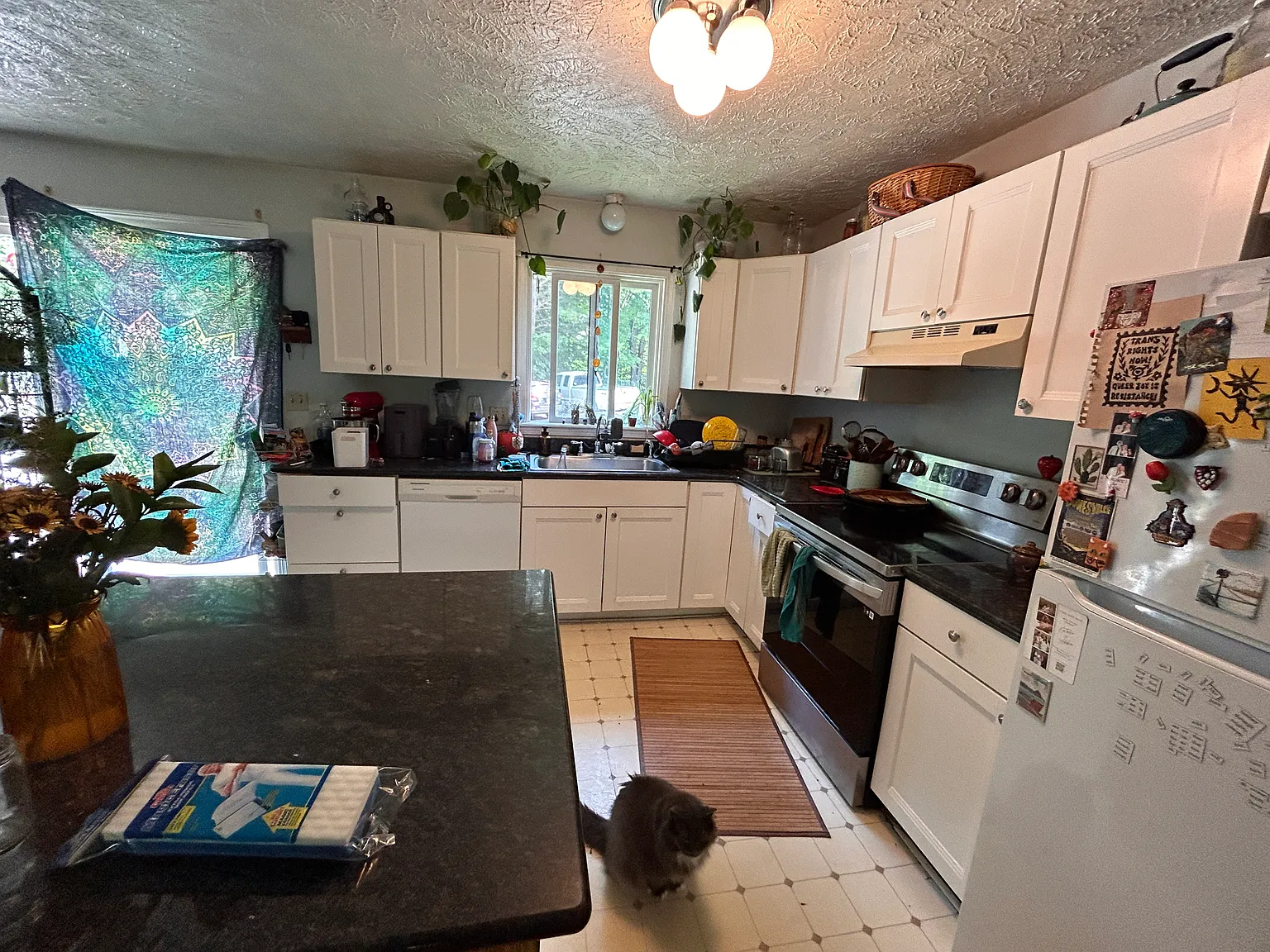 5 bed, 1700 sqft, $1,800 — Photo 3