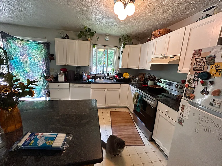 9979 N Long Lake Rd — Photo 3