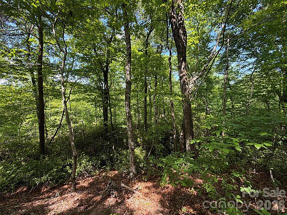 5th image of 0 Buffalo Shoals Rd #1