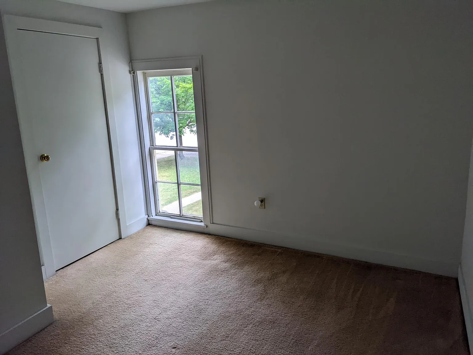 7882 Ann Arbor St — Photo 2