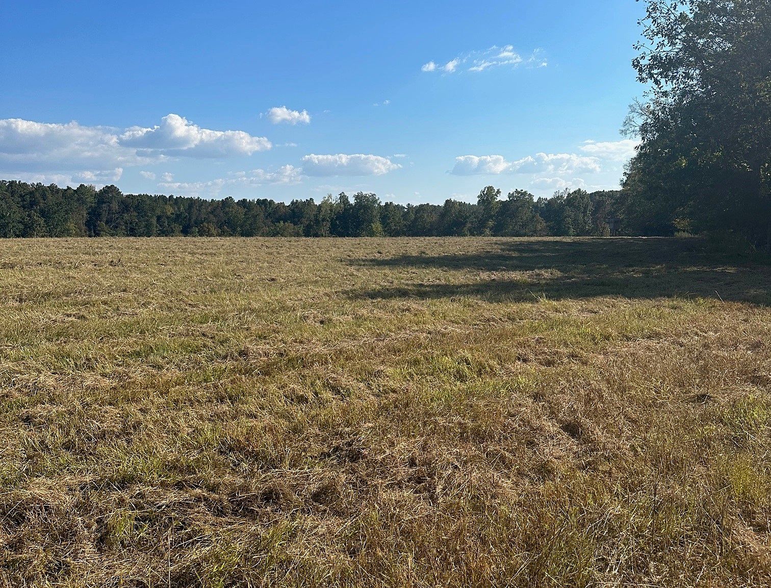 0 W Short Cut Rd, Lester, AL 35647 MLS 2578687 Zillow