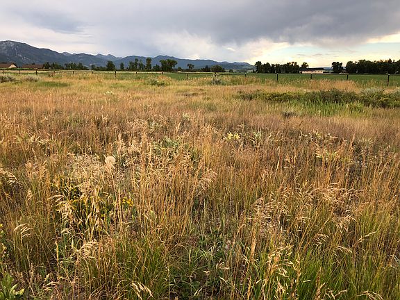 5th image of Tumbleweed Ln