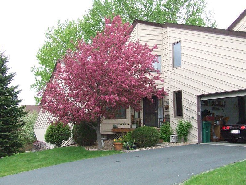 Front yard and entry to house