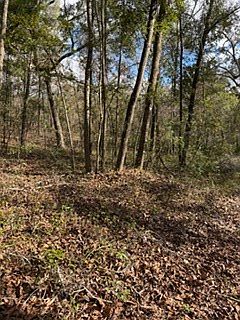 3rd image of  SW 22nd Pl
