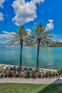 4993 Bacopa Ln S Unit 204, Saint Petersburg, FL, 33715