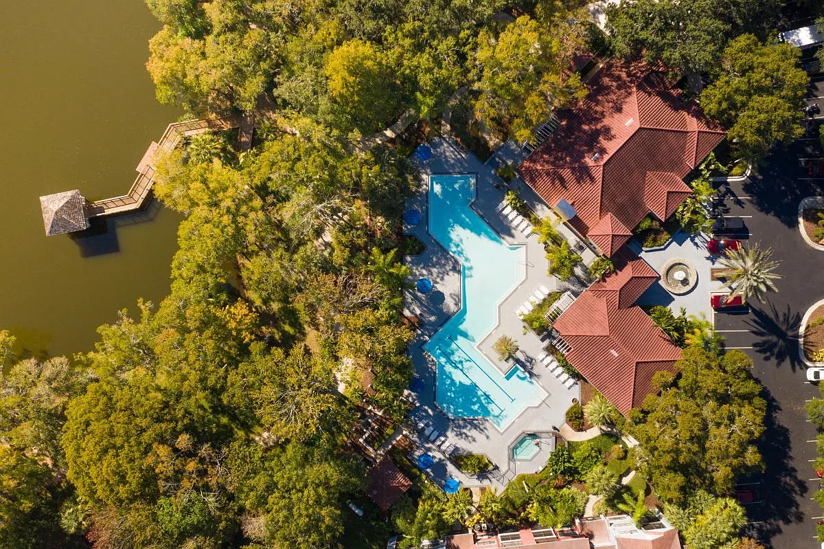 Grande Oasis at Carrollwood — Photo 1