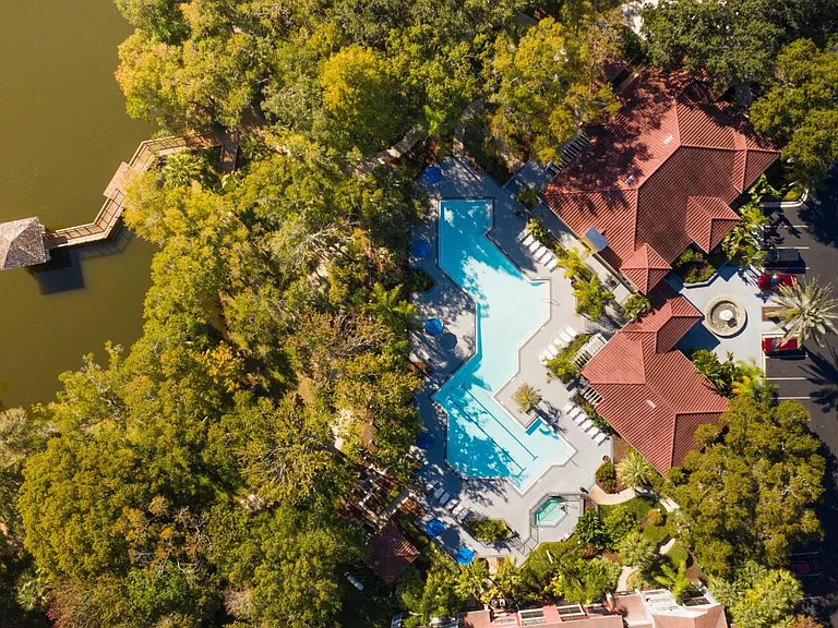 Grande Oasis at Carrollwood — Photo 1