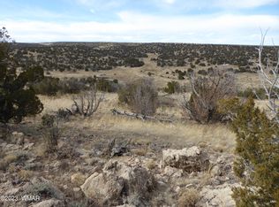 201 Nine #6C, Heber, AZ 85928