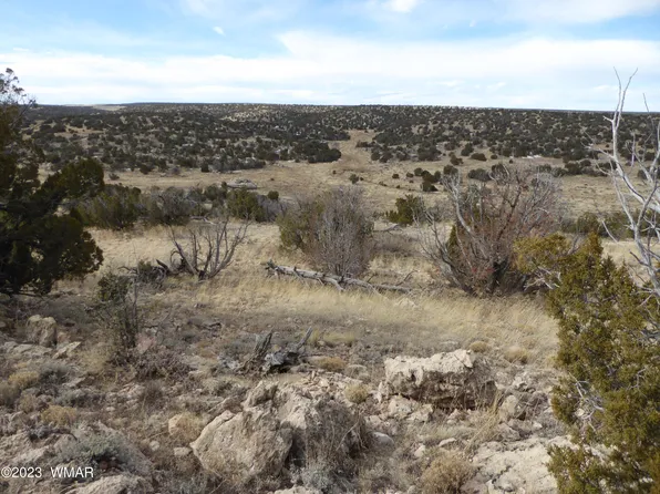 201 Nine #6C, Heber, AZ 85928