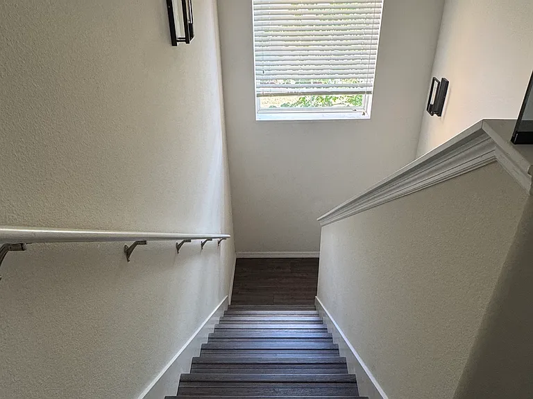 101 Misty Glen Ln — Photo 24