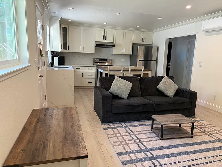 Livingroom and Kitchen