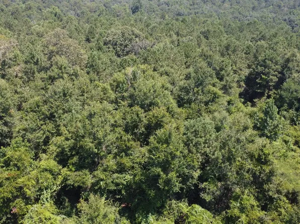 31052 Pearson Cemetary Rd, Carriere, MS 39426
