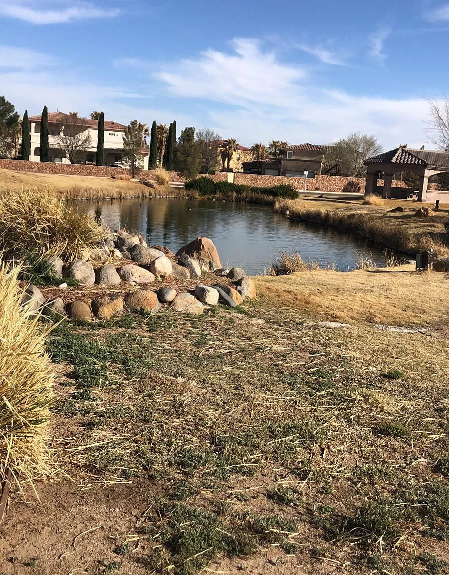 720 Al Smith Ln — Photo 4